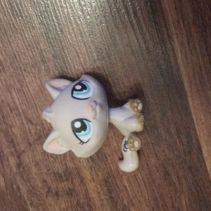 Littlest Pet Shop Cat #1364